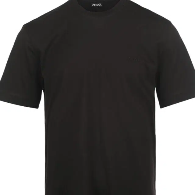 Zegna SS25 logoT
