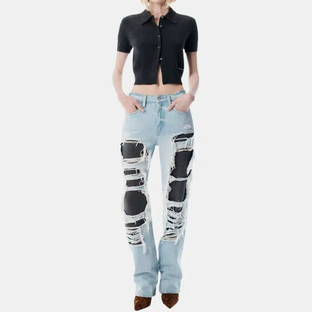 alexander wang FW25
