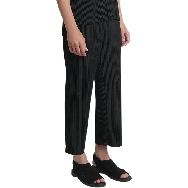 Homme Pliss Issey Miyake