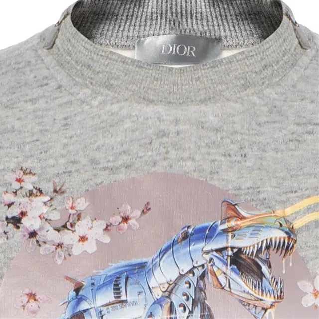 DIOR