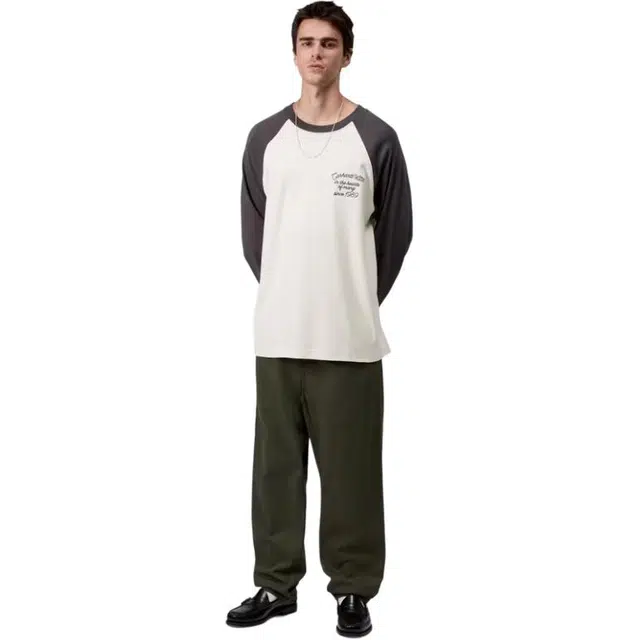 Carhartt WIP FW25 LS Alston T-Shirt T