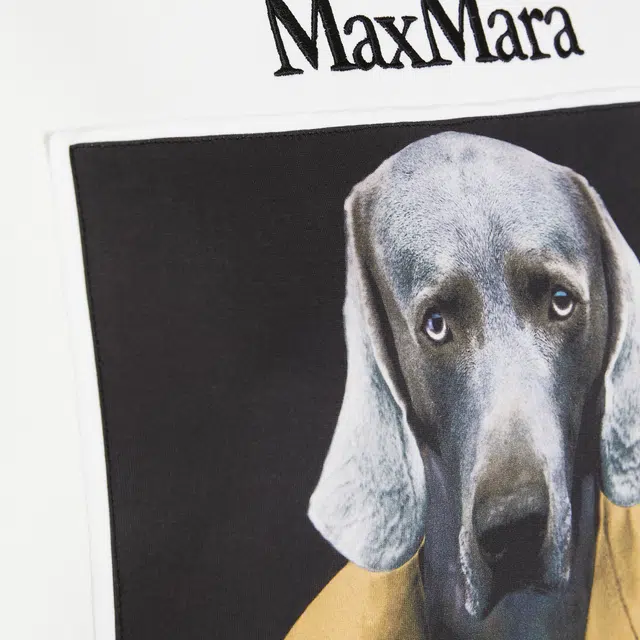 MaxMara
