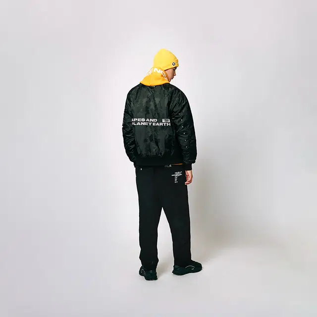 Aape