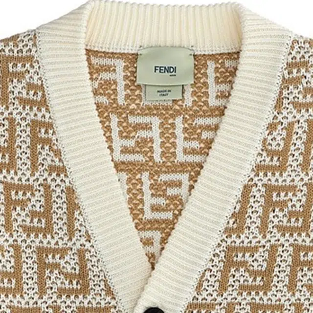 FENDI V