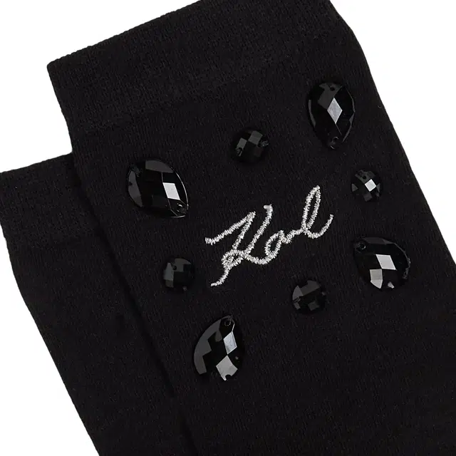 KARL LAGERFELD FW25 2