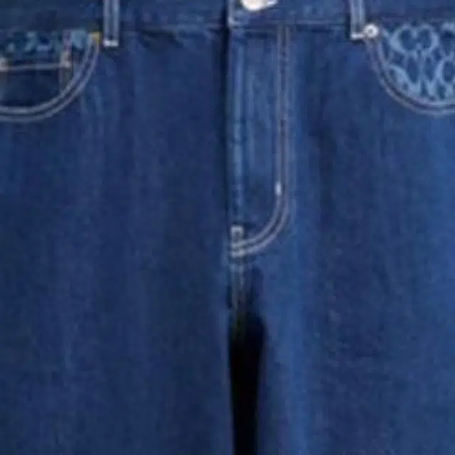 COACH SS25