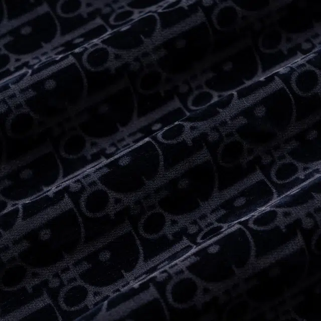 DIOR FW22 Logo