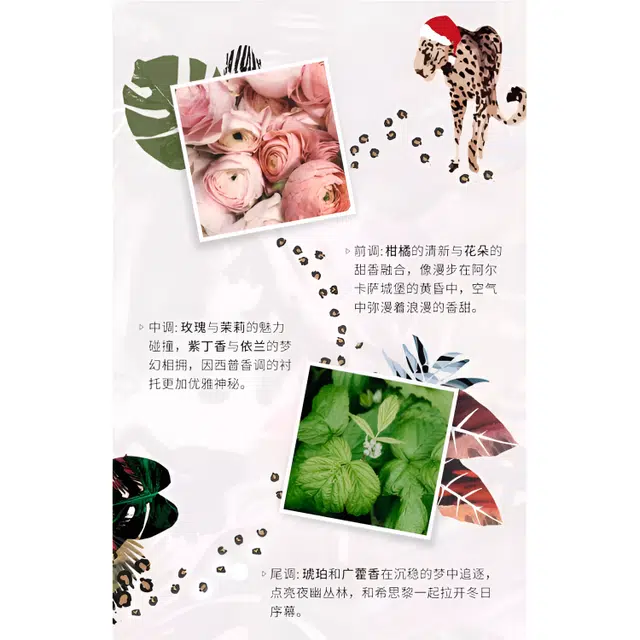 EDP 30ml50ml100ml