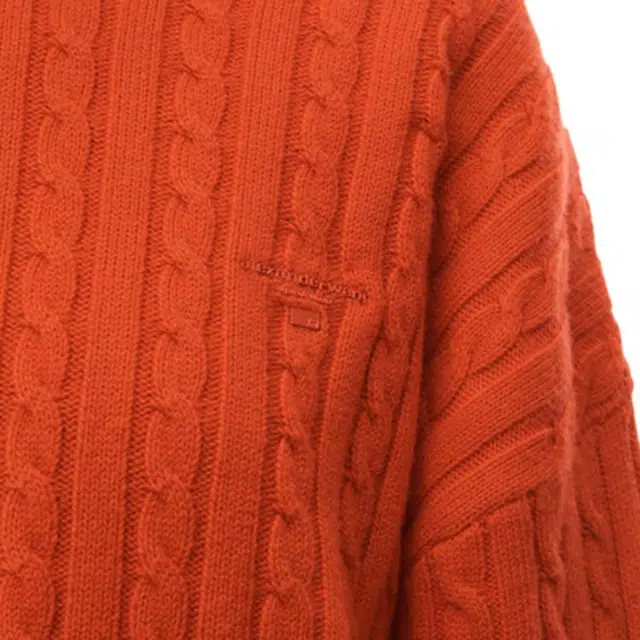 alexander wang FW21