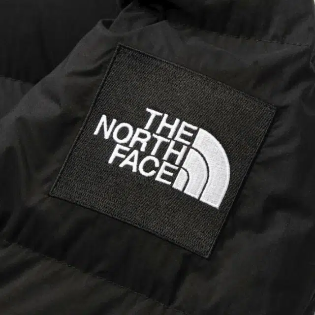 THE NORTH FACE Camp Sierra Short