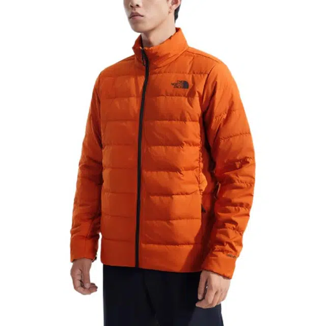 THE NORTH FACE logo