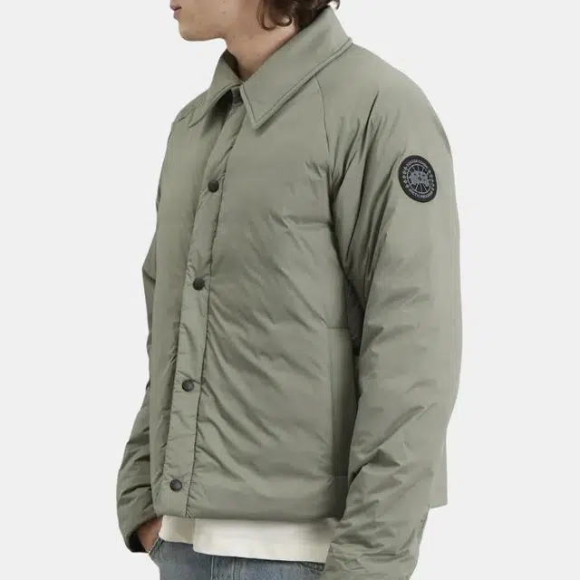 Canada Goose