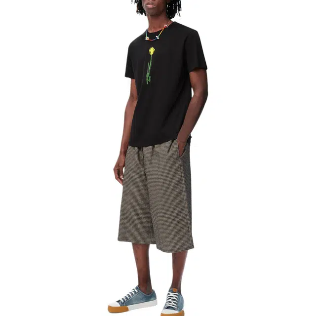 LOEWE T