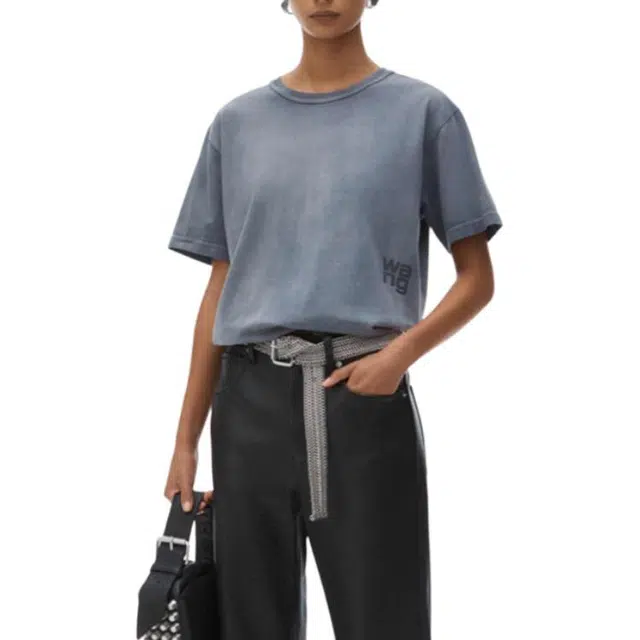 alexander wang FW24T