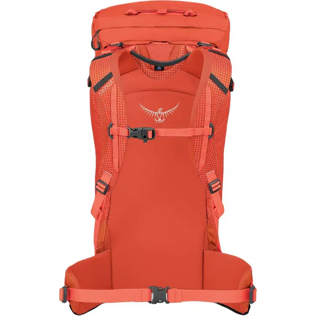 OSPREY38L Mutant