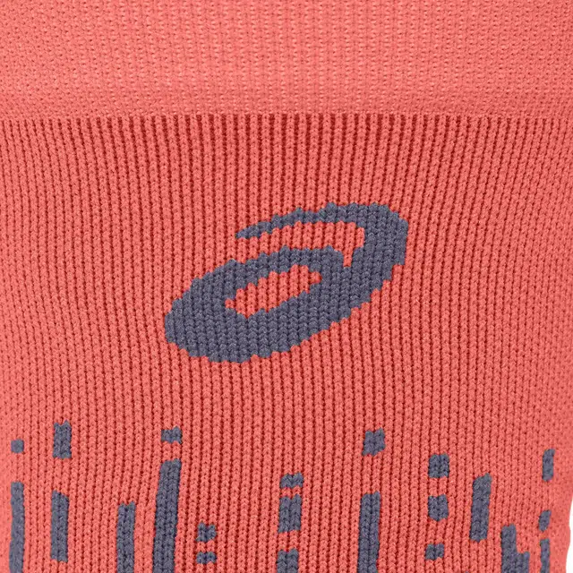 ASICS Logo 1