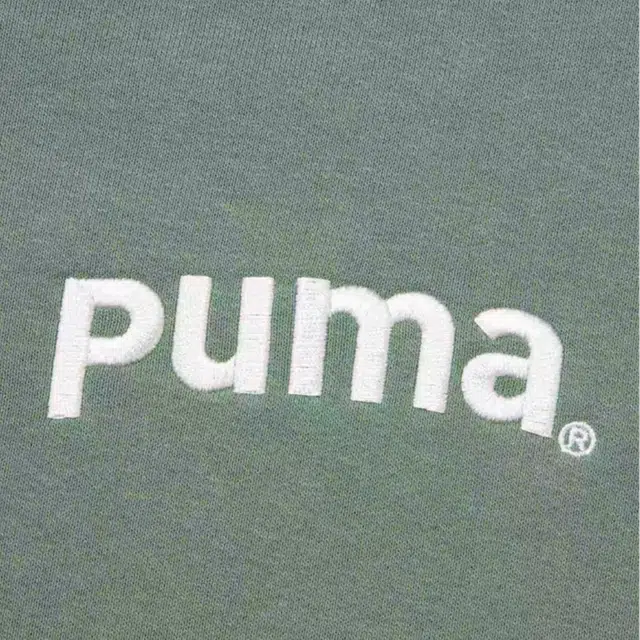 PUMA TEAM FZ HOODIE TR