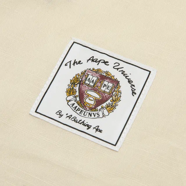 Aape logo IVN