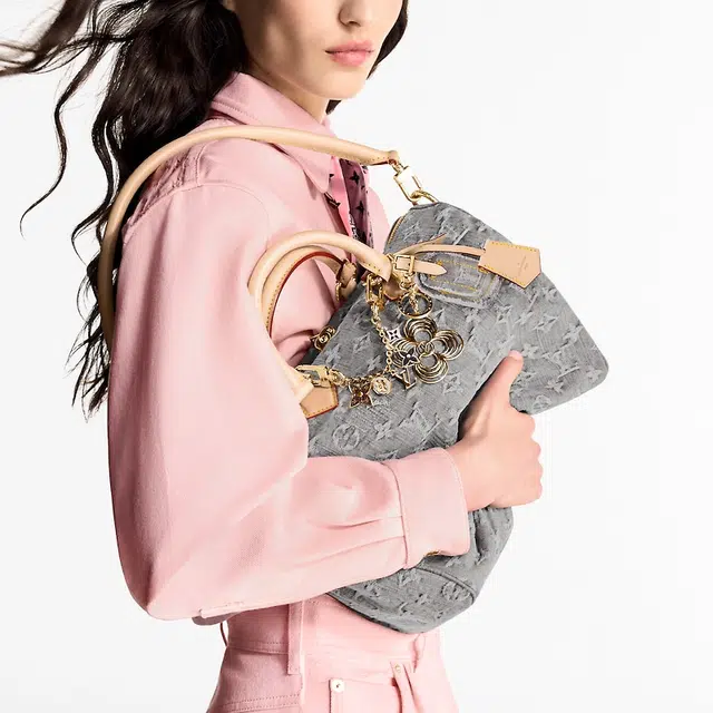 LOUIS VUITTON Speedy Soft 30