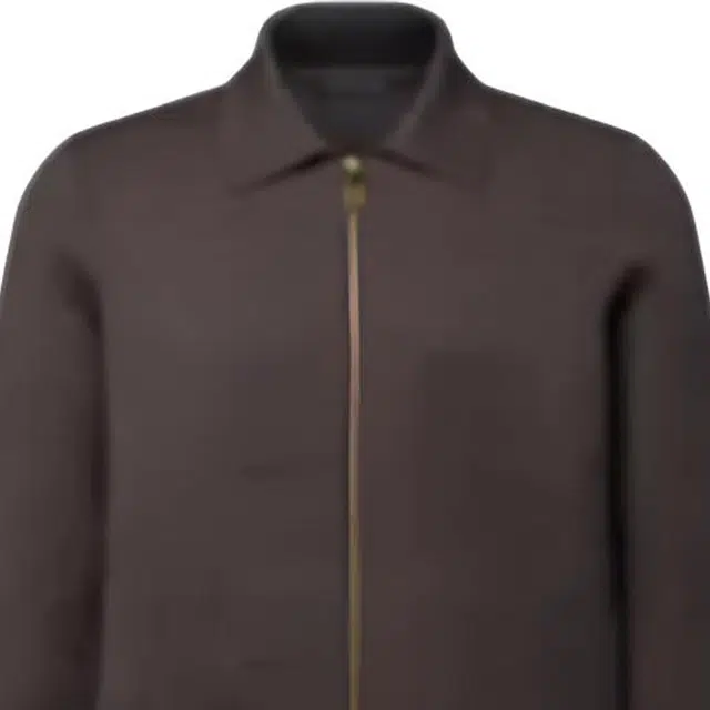 LOUIS VUITTON BLASON SS26