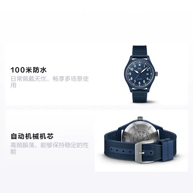 IWC Pilot's Watch IW328101