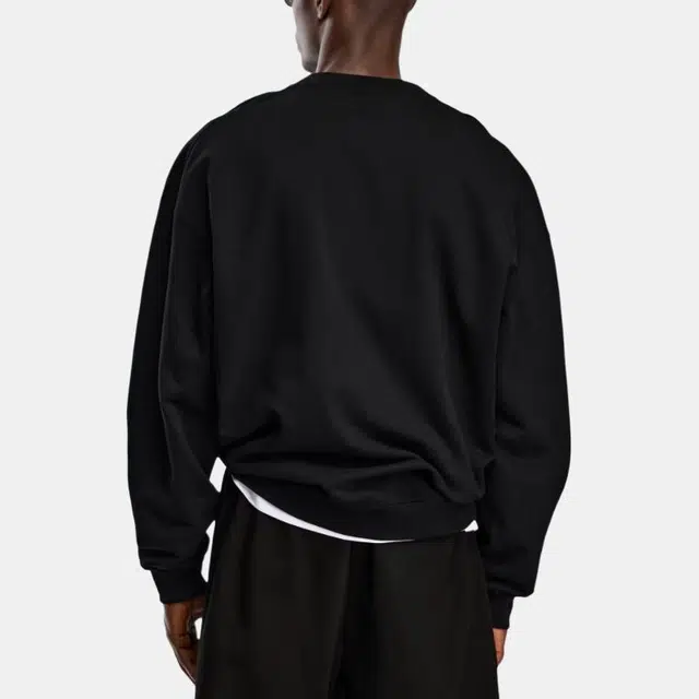 Canada Goose Snow Goose FW25