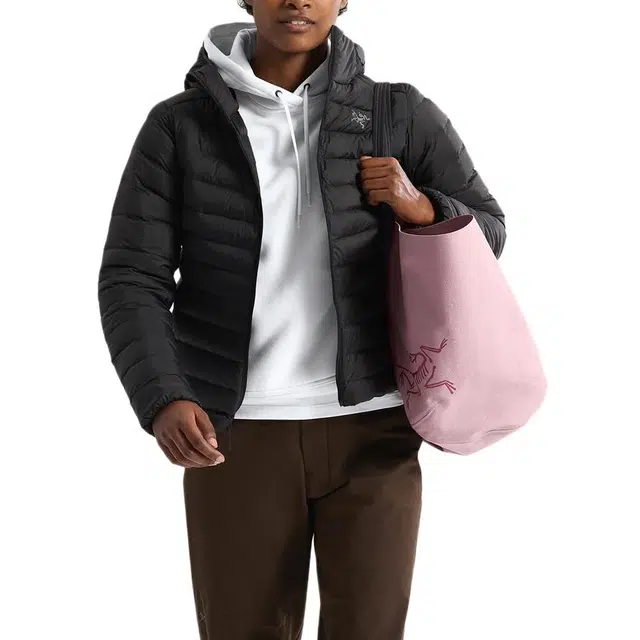 Arcteryx Carrier 45L