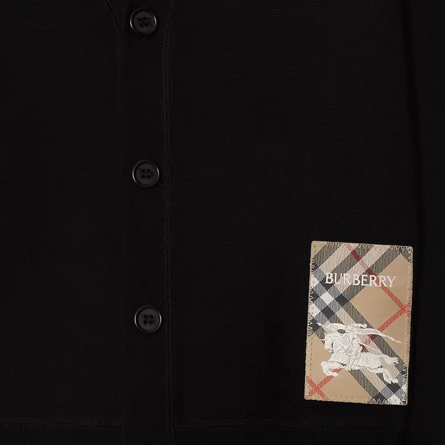 BurberryFW24 LogoV
