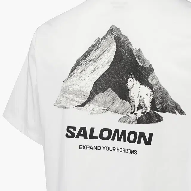 SALOMON UNI BLAST T