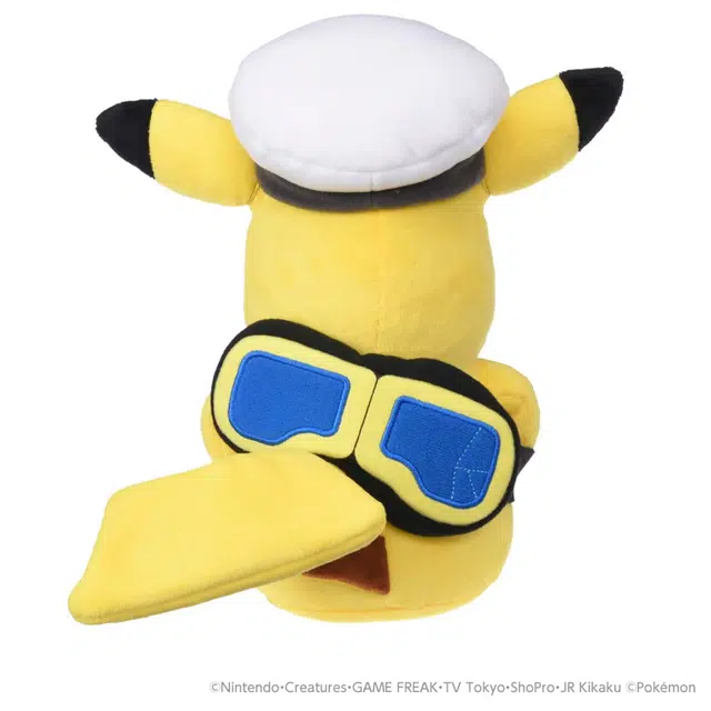 POKEMON 25cm