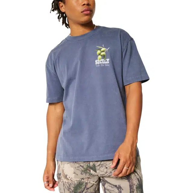 Hollister T
