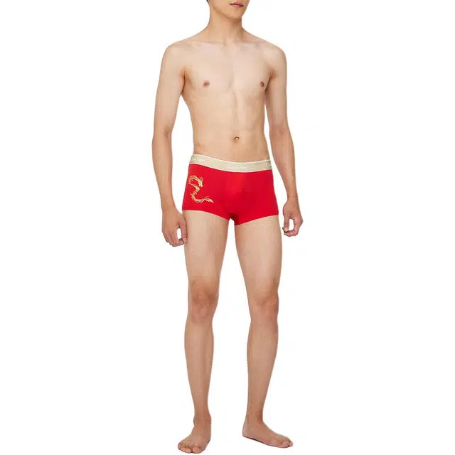 CKCalvin Klein Logo 2