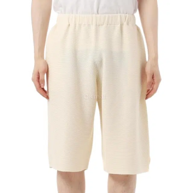Homme Pliss Issey Miyake