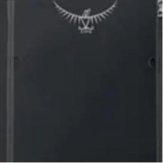 OSPREY 38L Transporter 20