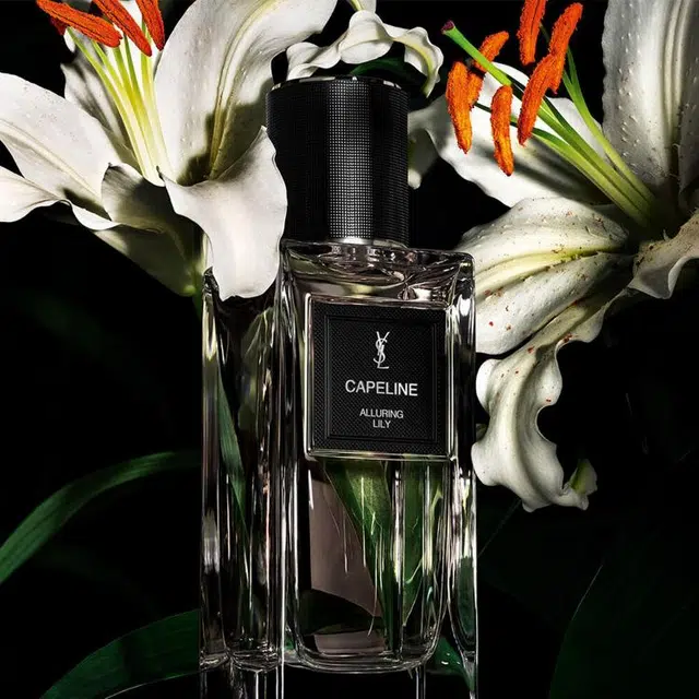 YSL EDP 75ml125ml