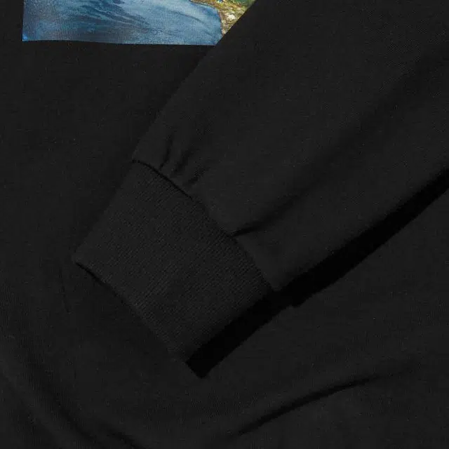 THE NORTH FACE Think Earth Sweatshirts Logo