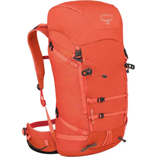 OSPREY38L Mutant