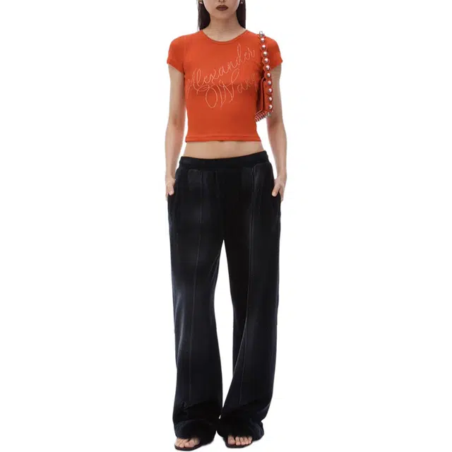 alexander wang FW24 T