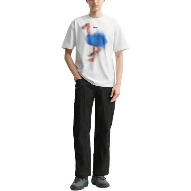 ADER ERROR T