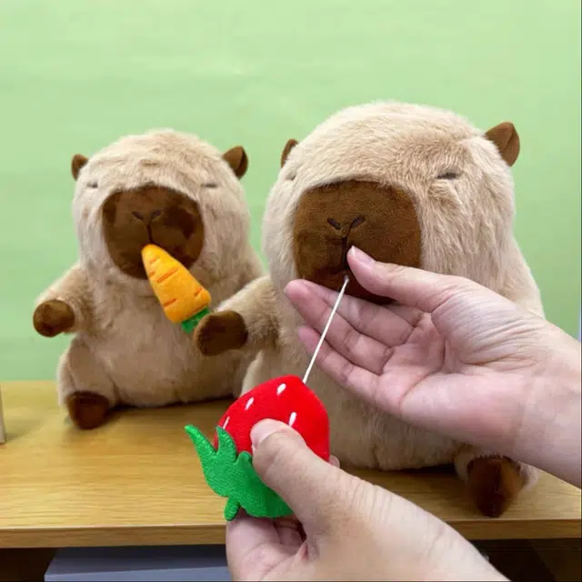 27cm