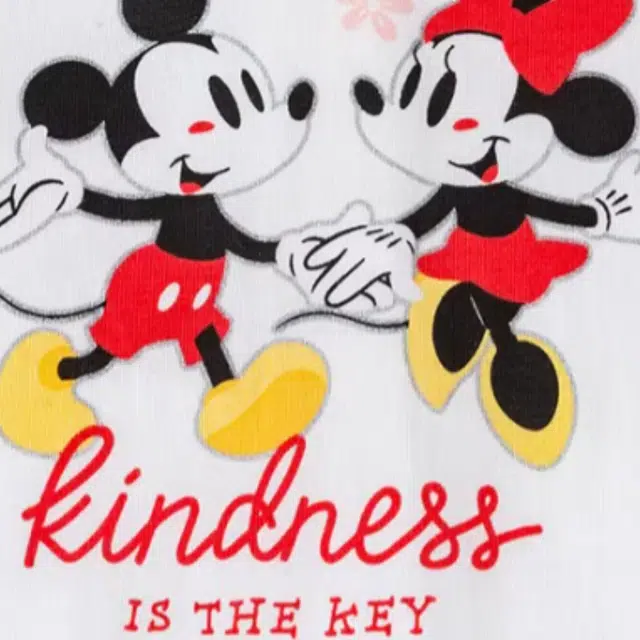 Disney T