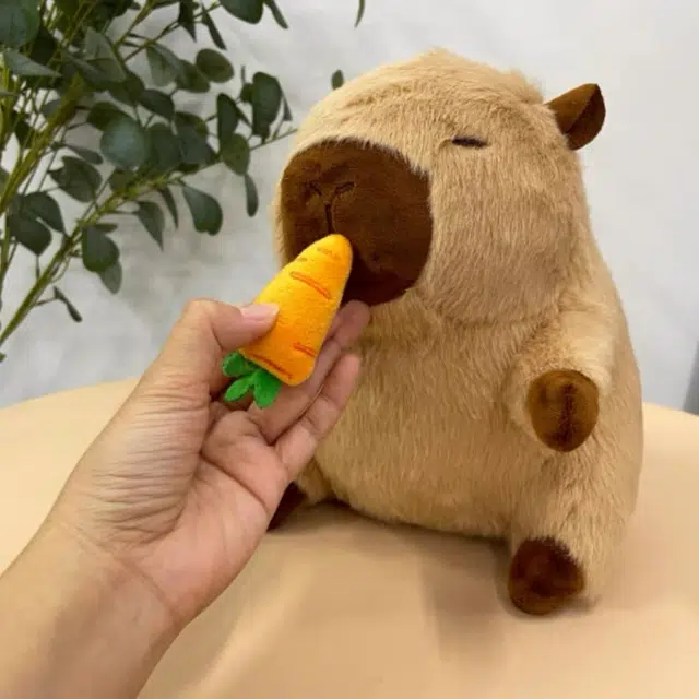 27cm