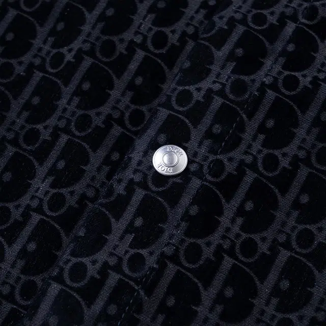 DIOR FW22 Logo