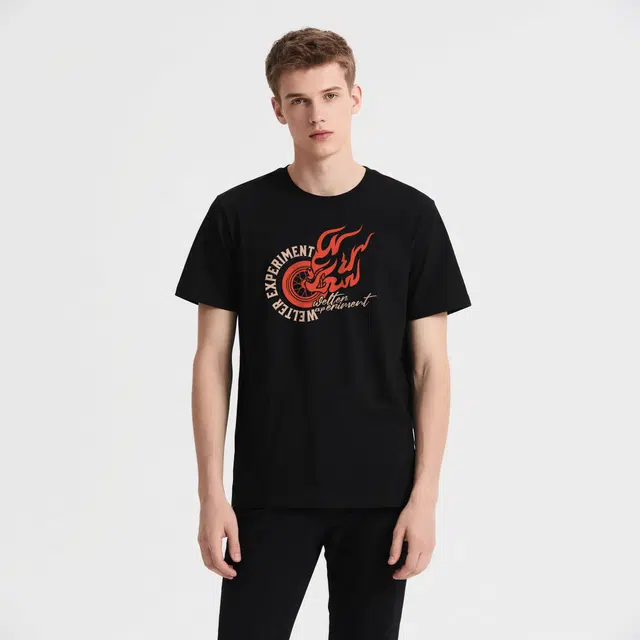 WELTER EXPERIMENT LOGO300T