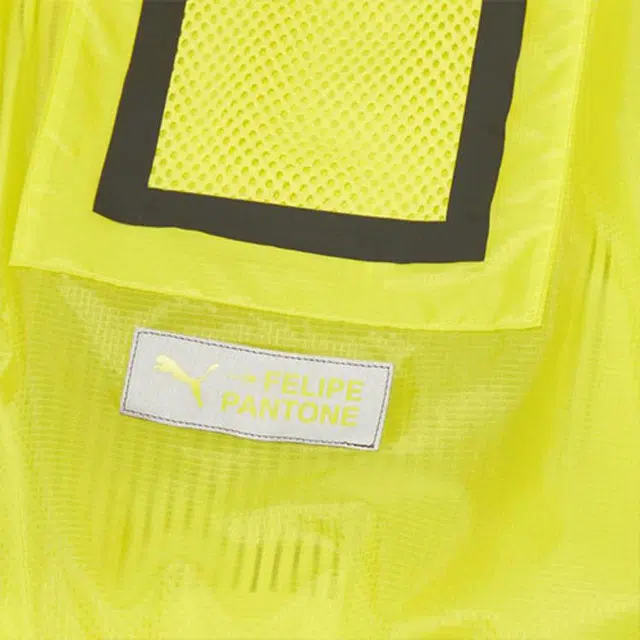 Puma x FELIPE PANTONE Logo