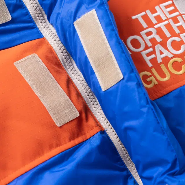 GUCCI x THE NORTH FACE SS22