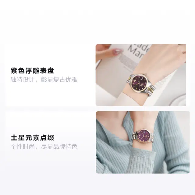 Vivienne Westwood DWVV261BYSG