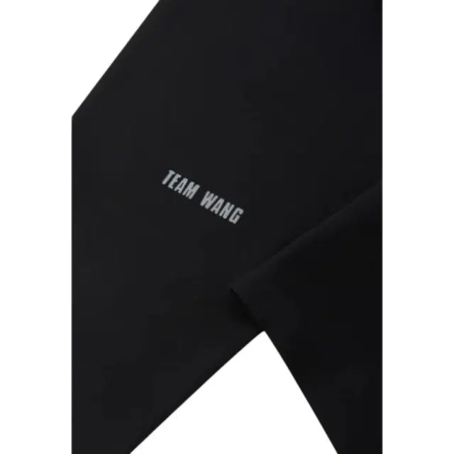 TEAM WANG SS23 THE ORIGINAL 1 Logo