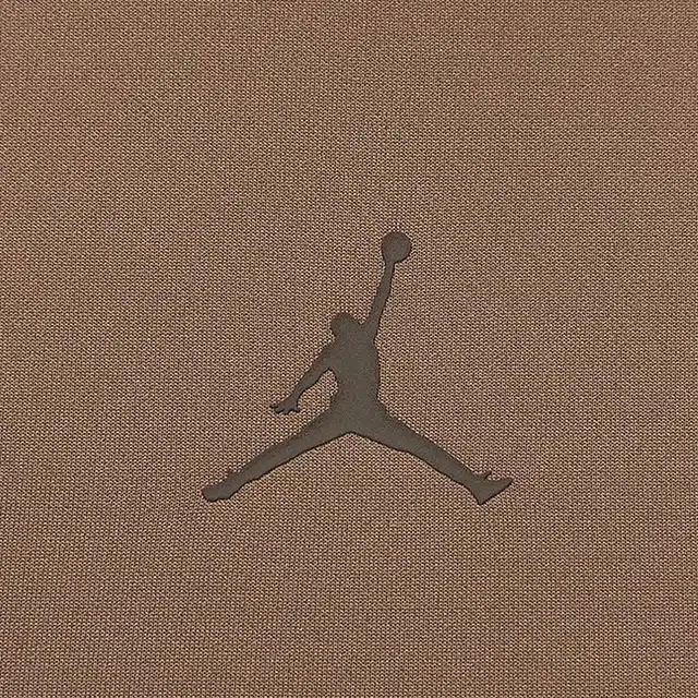 Jordan logo T