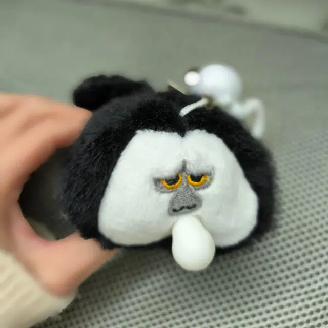 6cm